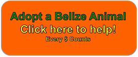 Click to Help The BELIZE ZOO