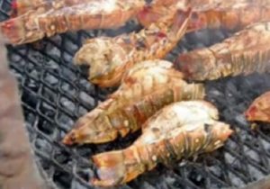 Belize Lobster Festival