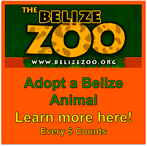 Belize Zoo Learn more about how to Adopt an Animal