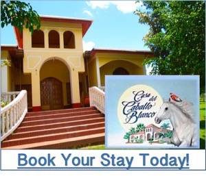 Places to Stay in Belize Casa del Caballo Blanco Eco Resort