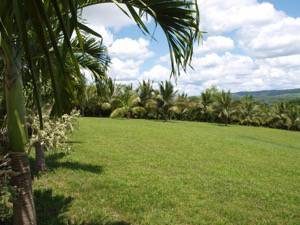 Belize Eco Resort Views