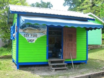 Belize Seafood. Dave the Fishman in San Ignacio Town Belize