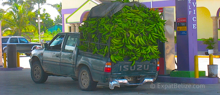 Banana Transport to Belize Market