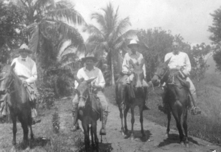 Old Belize Gallery Belize Horse Back