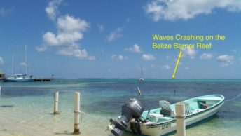 Belize Barrier Reef San Pedro Ambergris Caye Island