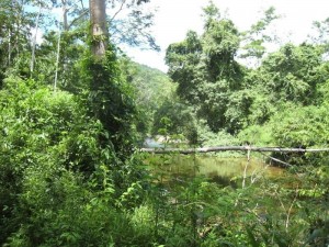 Belize Cayo District ATM Cave (2)