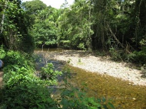 Belize Cayo District ATM Cave (3)