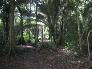 Belize Cayo District ATM Cave (7)