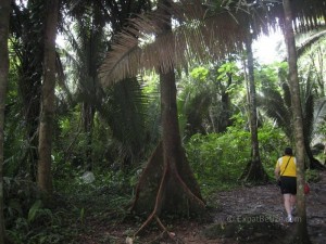 Belize Cayo District ATM Cave (8)