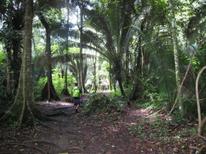 Belize Cayo District ATM Cave 1