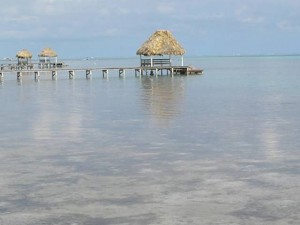 Belize Gallery 2 51 