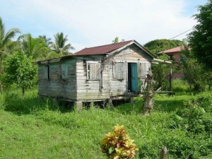 Belize Gallery 6 177