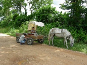 Belize Gallery 6 197  