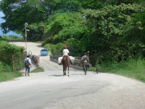 Belize Gallery 6 198  