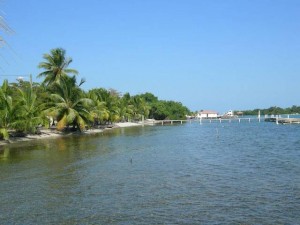 Belize Gallery 7 226  