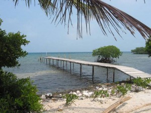 Belize Gallery 7 234        