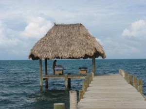 Belize Gallery 8 283      