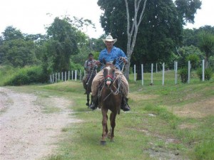 belize real estate belizean cowboys    