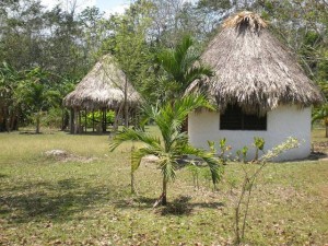 Belize Gallery 1 11  