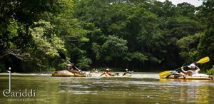 Kayaking in Belize 19 